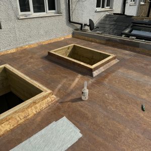 Rear-Extension-Chiswick49