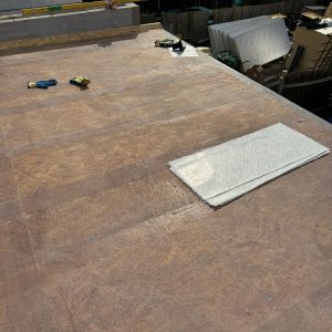 Rear-Extension-Chiswick50